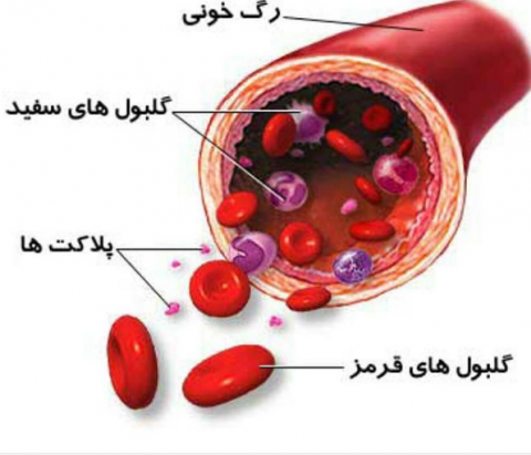 عوارض دارو برمغز و سلول های خونی